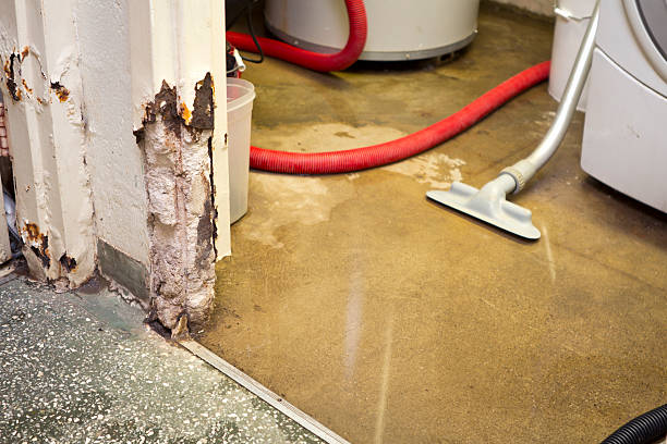 emergency basement leak repair company Union, NJ
